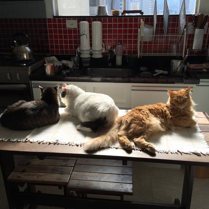 9dc38204 b380 4b6d a123 b889a0541952