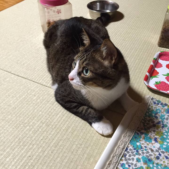 9dc3ed79 0209 4179 bfff 659779170525