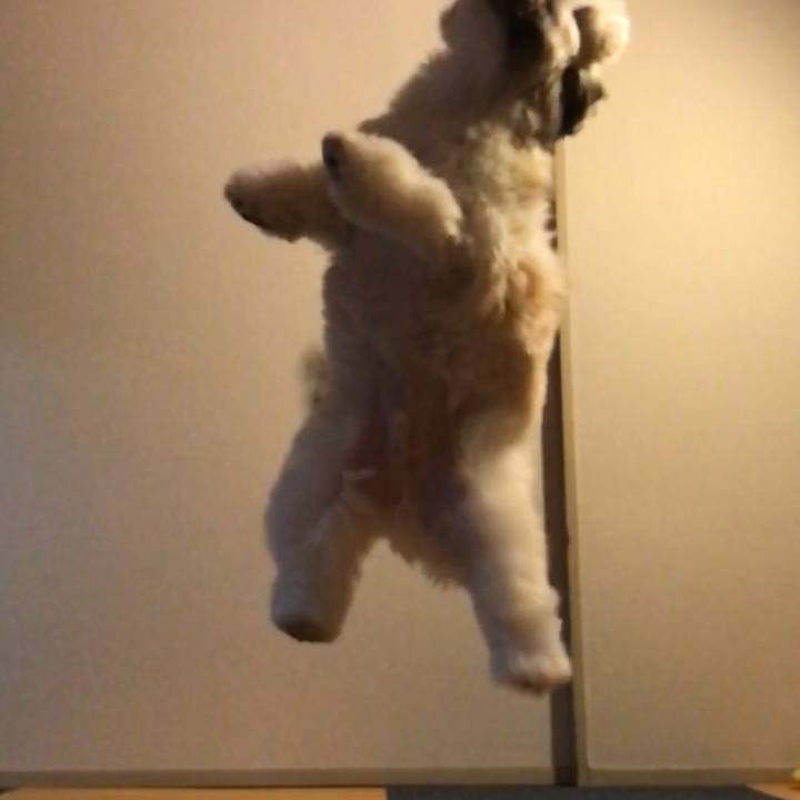 9dc47026 7bd9 467a a6a2 c635b9893c39