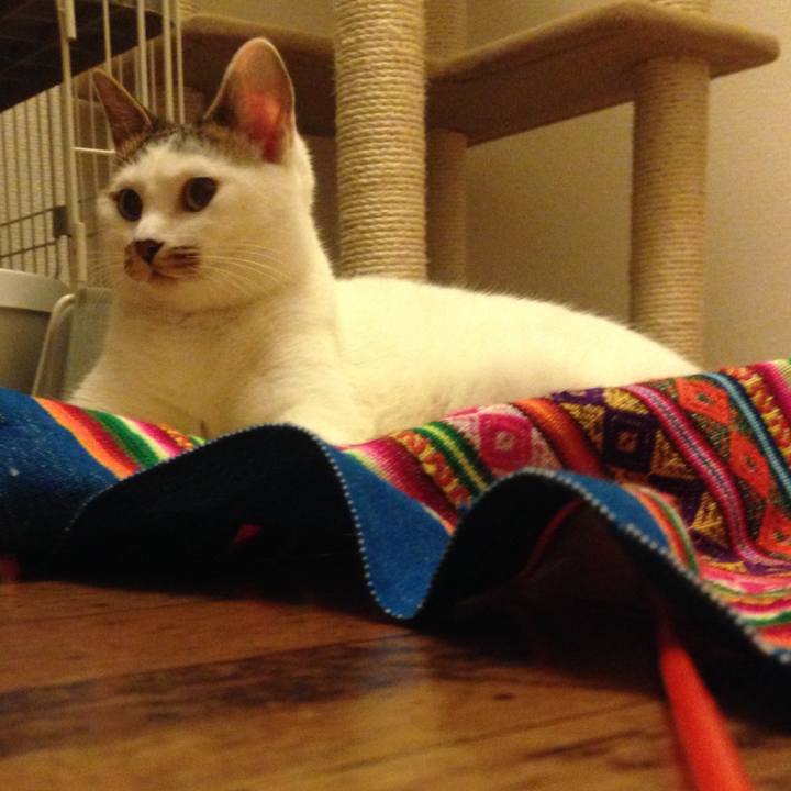 9dc480d3 4056 436e ba1d cde1a0d4a03f