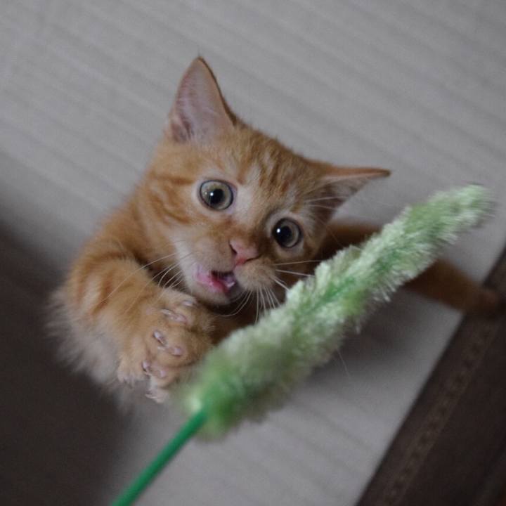 9dc49b48 9c07 4022 bd49 4889bf843de4