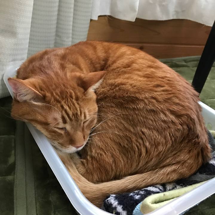 9dc49b5a cae3 457d 9ffd 432e49fe70d3