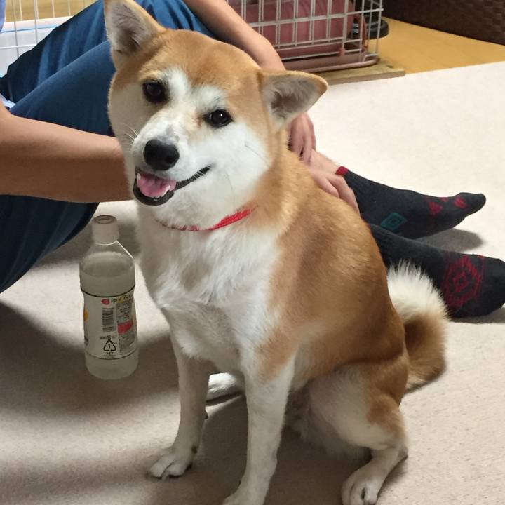 9dc54e51 3963 45b3 a8da 036540e68beb