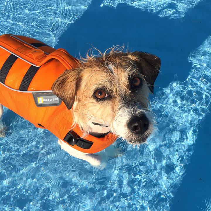 9dc55d40 9875 4ccb 8f27 bee31b1001dc