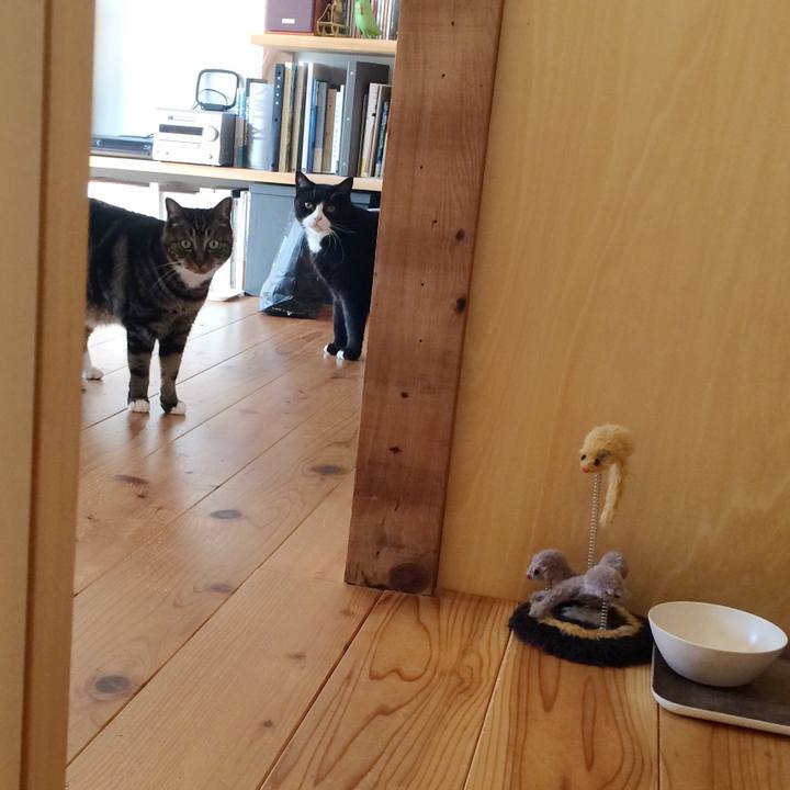 9dc5a11b a5b5 484d a703 d2f9112bea99