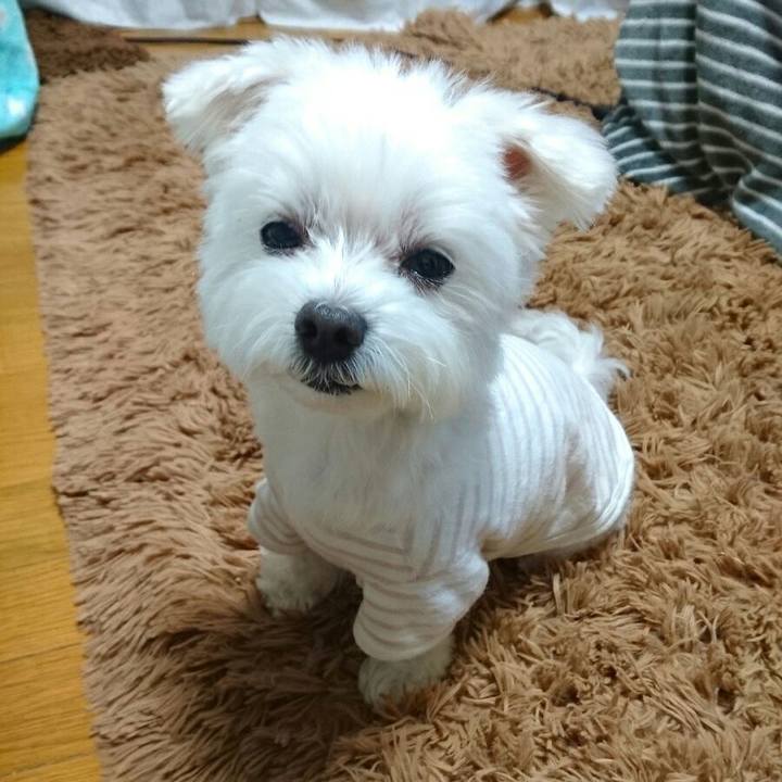 9dc69b41 851b 45a8 a59c 47f3335a2e6a