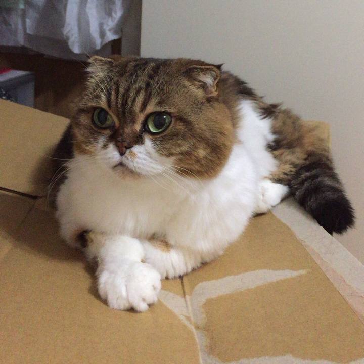 9dc6ab3b 8ffa 4371 9419 4bf63d5aa9cf