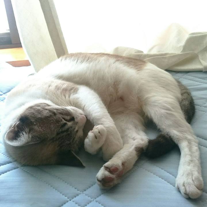 9dc6b6e1 0568 4e91 a965 72fbf22d7a2e