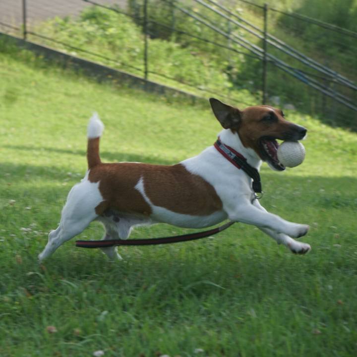 9dc73693 a2f4 4c41 a2e2 dca963bebf36