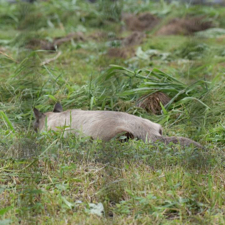 9dc76e19 47bb 4823 8a44 b44183a10115