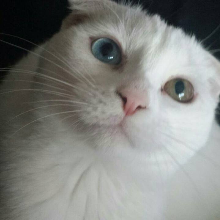 9dc82039 7346 41e8 ab85 28a618ec49dc