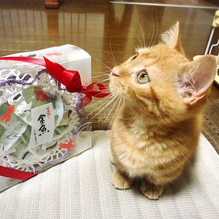 9dc84b71 4991 4e93 8b6e 985d49047358