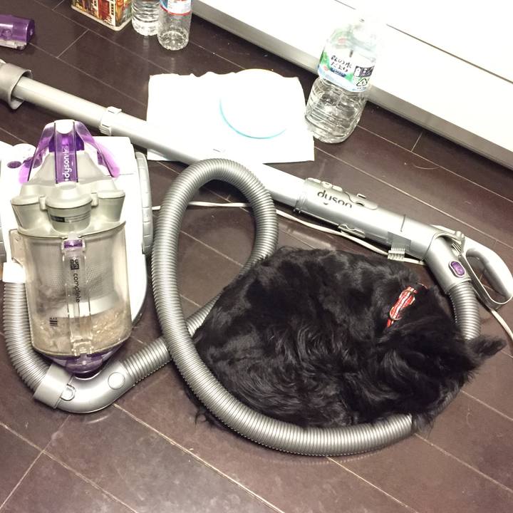 9dc8da96 550d 4ee8 a25e c2376a51d07f