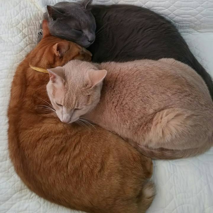 9dcab795 b423 4358 ae43 babf9785f8af