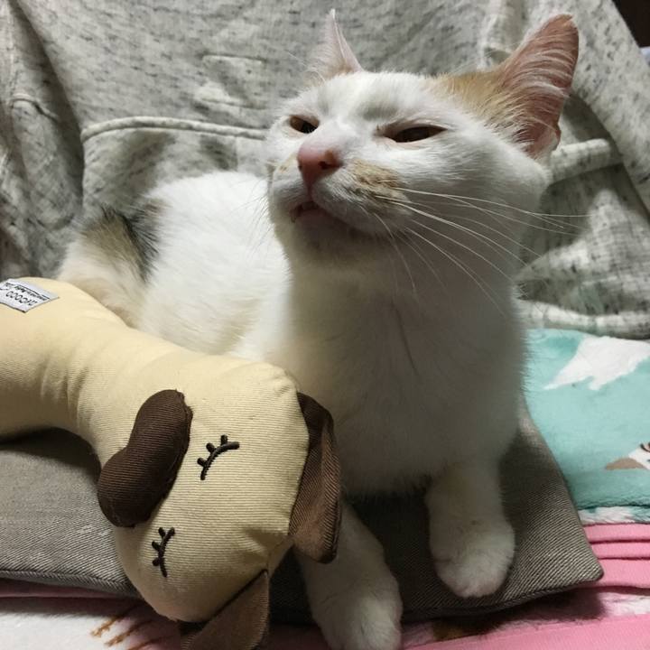 9dcb1e17 9108 4f38 837a 984ed906cf8b