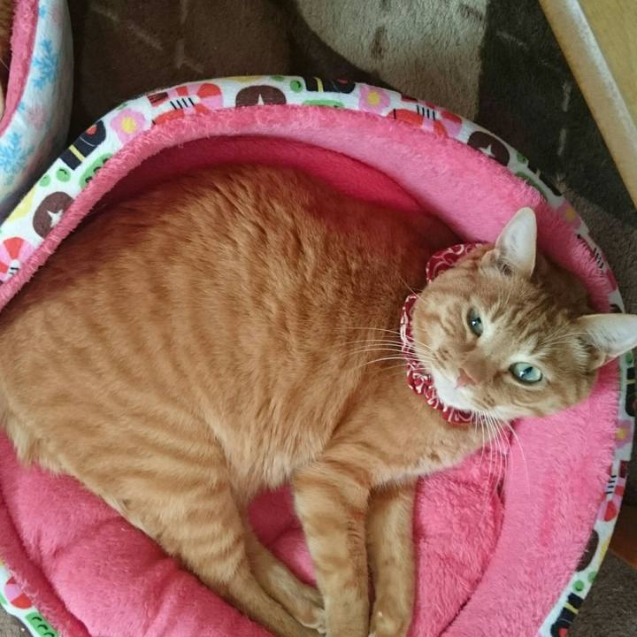 9dcba797 91f2 47a3 a69f 43108dfcb653