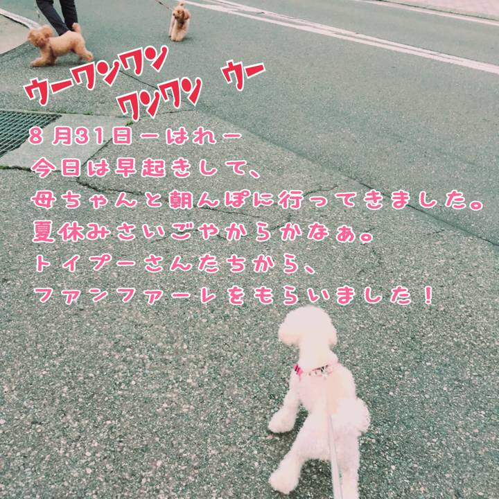 9dcd1efe a395 44a9 b9a0 1395a7dfe708