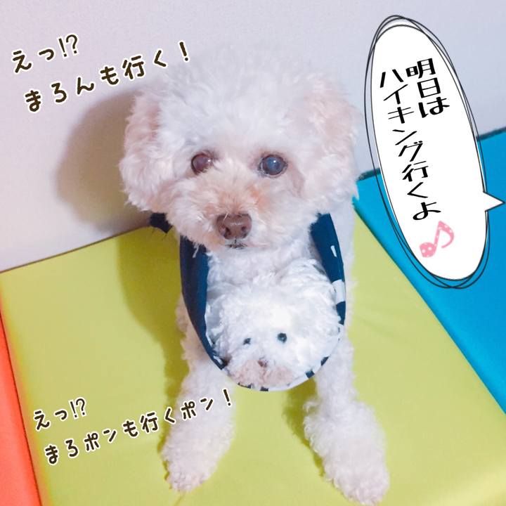 9dcd5b9d 861d 4e87 a62d 4fe9df614a4f