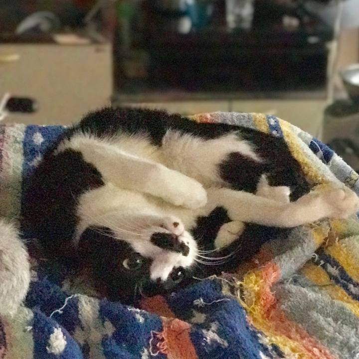 9dcd684b 4a9a 4844 b75e db0320392261