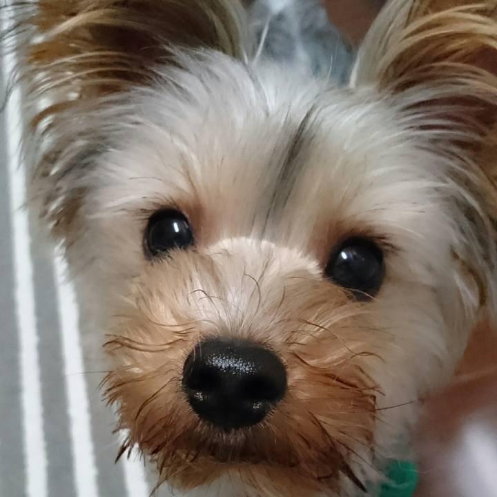 9dce1309 f3d8 4f60 bbf5 3cbb0a569d55