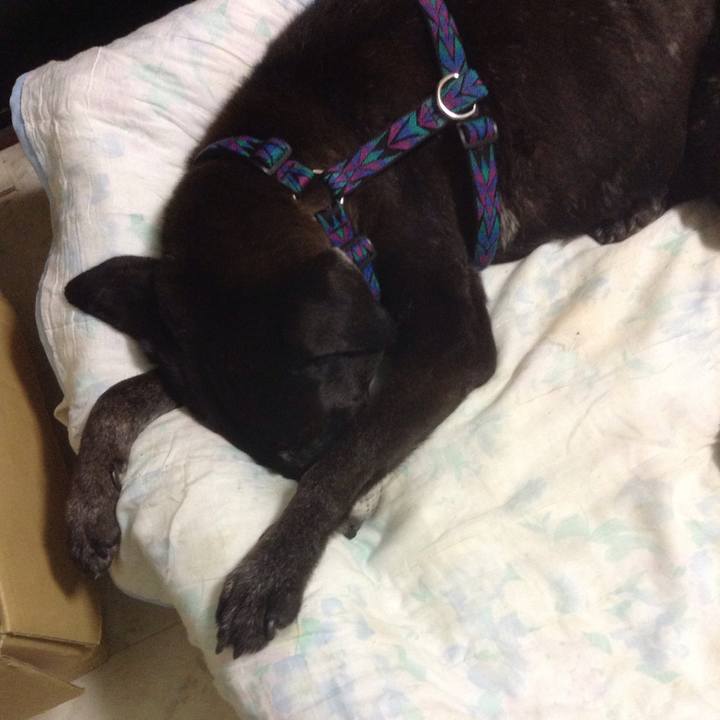 9dcebdf2 aabe 463e a460 c55427d1e36c