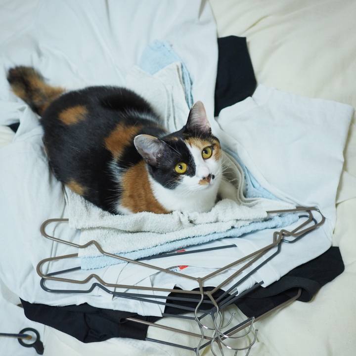 9dced140 2a54 4375 a0b4 06fd6ccd12f4