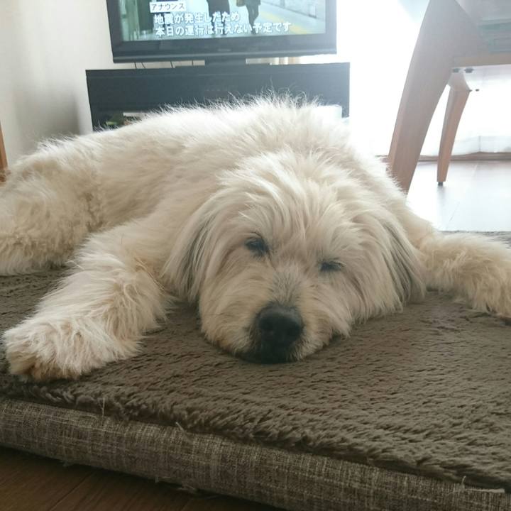 9dcfb9fa ada0 4934 a5a2 f15a73f09f52