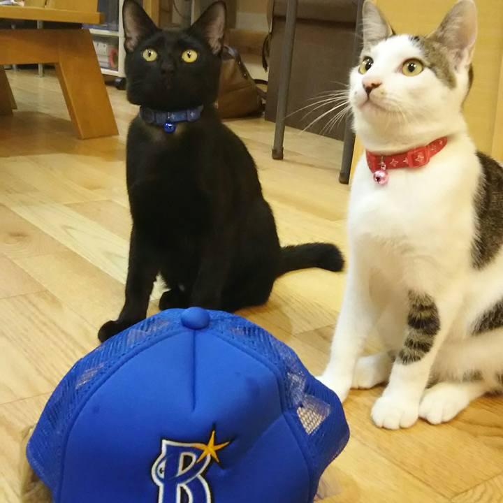 9dcfbb2c edc1 44dd 9499 17b1b7185b96