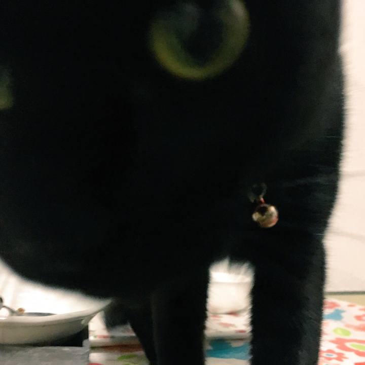 9dd04ca5 048a 4eb6 a542 1da8f610b831