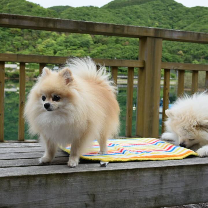 9dd20393 0b26 45ca aaa1 3448b5e336de