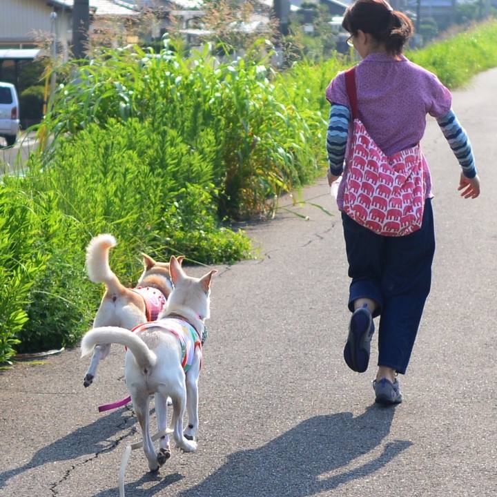 9dd236f2 63d4 42fe 93d4 af9b52da5397