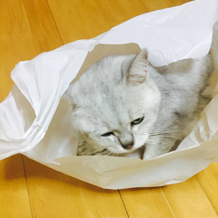 9dd29c25 623a 497c af49 5a21a87023e4