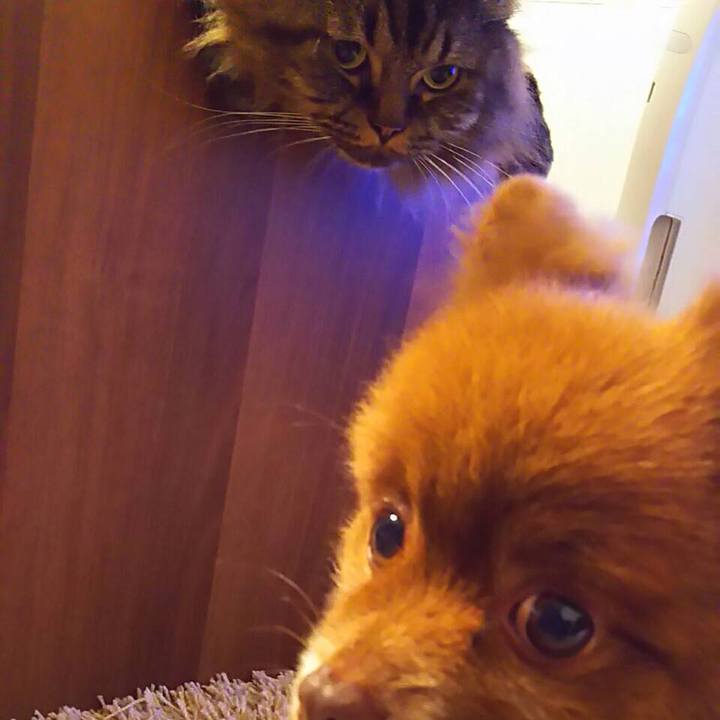 9dd2b2dd 2795 415c a0ce 043406e9f648