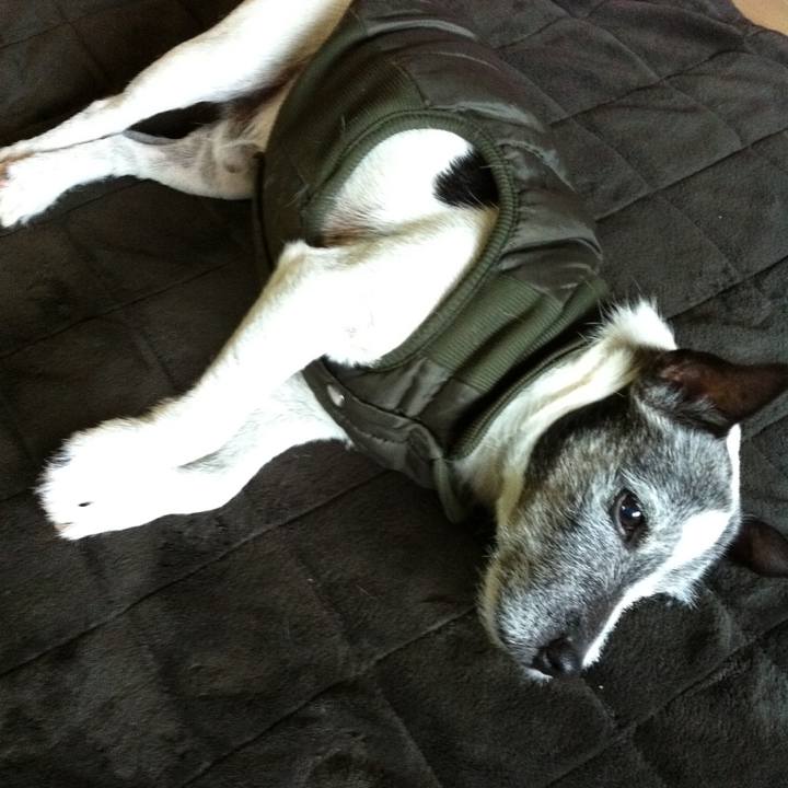 9dd2ecf7 aad4 472c 83eb 161e1a2cf3b0