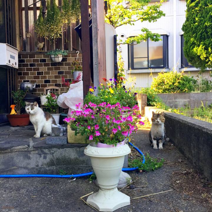 9dd30836 110d 4c52 a614 5cfba7b0233e