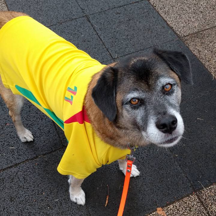 9dd30ec7 8160 4764 8269 39099ab46b0a