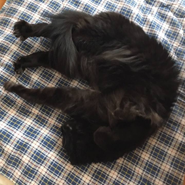 9dd33147 7533 45b4 8ec1 1b0695130bd8