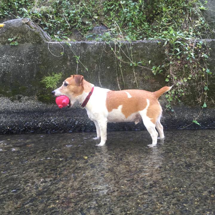 9dd3ba9f 73ed 451f ba37 bdf236c3c24b