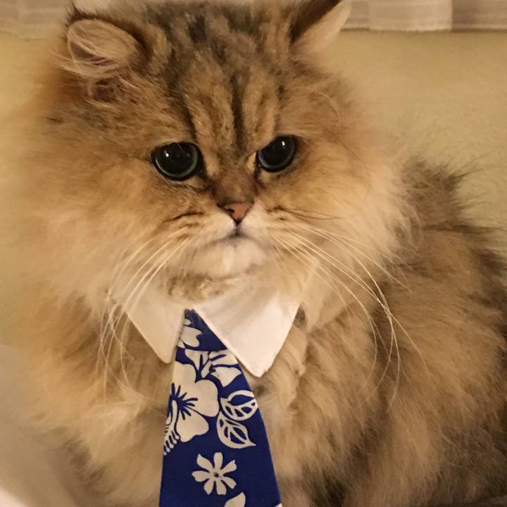 9dd3e0bb 9dd0 4bb4 ab40 d16f2dde9ba7