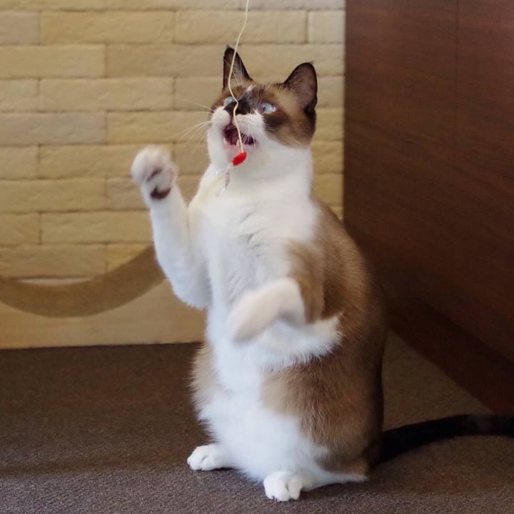 9dd40e17 ecf9 4e82 8380 0d67cbfc2daf