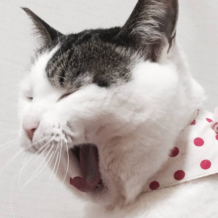 9dd464de a2b8 499d bb7f 5f9689bb6230