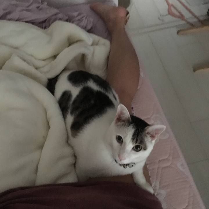 9dd4ec8e 3089 4434 b149 48b3da765f38