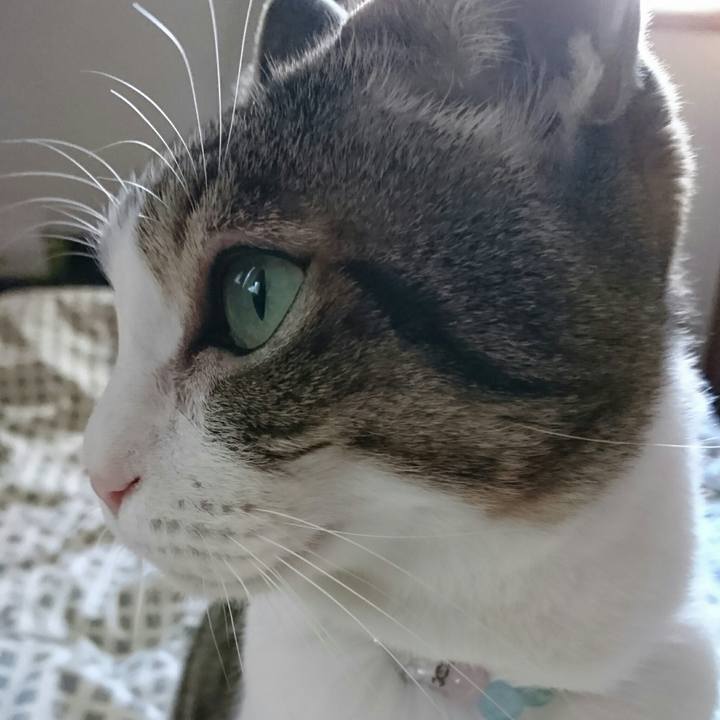 9dd520f1 b1f3 414d b71f 33ee3ea02864