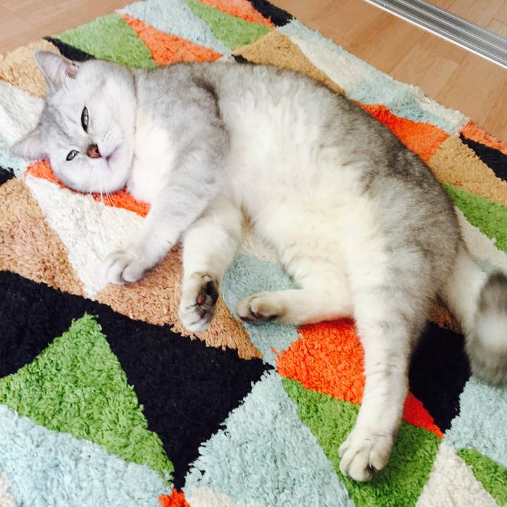 9dd53e10 98f7 4b22 8939 f29818a7b049