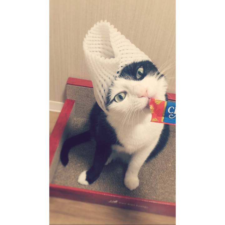 9dd558be 205e 4b63 ab0b 8c69ac6126e9