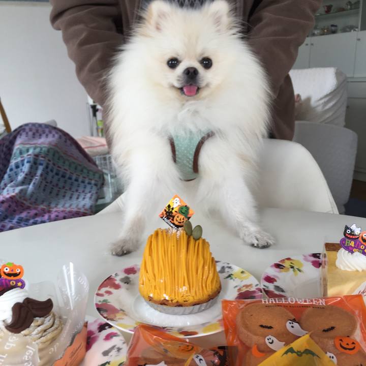 9dd5ebbd 64d8 4156 a871 b8baf3af5d30