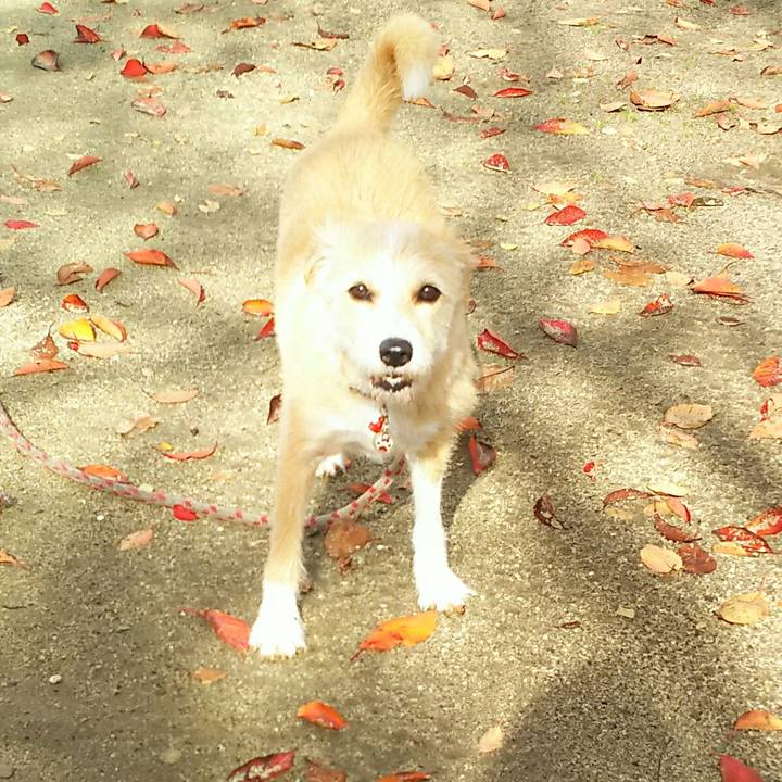 9dd5ec2e 0a7b 4c47 9e19 35c5f8f2bfbb