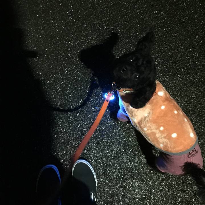 9dd5f720 a78b 4b29 aebd ce80408a18a8