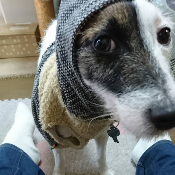 9dd5fd78 87bb 4a40 9274 46f3cd49dc88