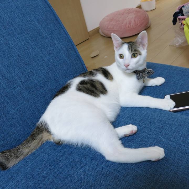 9dd73b2b fa73 43ce 9fa8 67d235646c0d